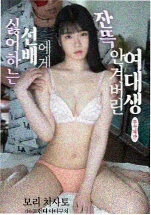 追光者手记 刑侦剧免费播放